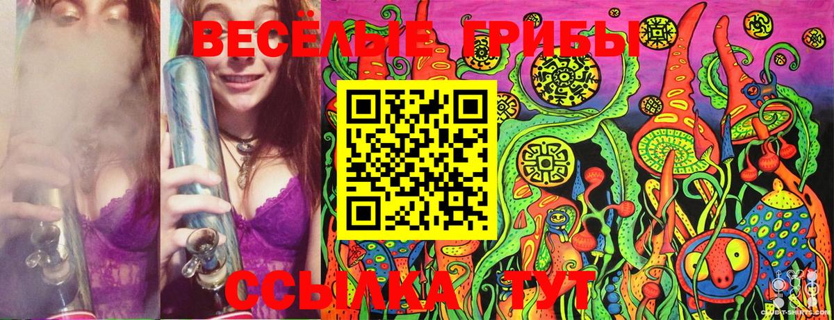 Галлюциногенные грибы Cubensis  Галлюциногенные грибы Psilocybe  Вход с VPN  Верхняя Пышма 