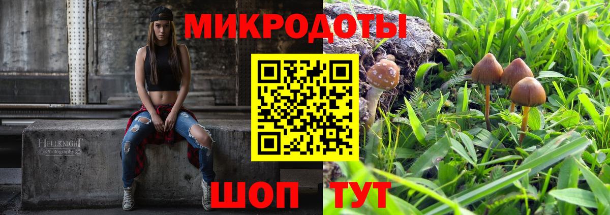 Галлюциногенные грибы Psilocybine cubensis Верхняя Пышма